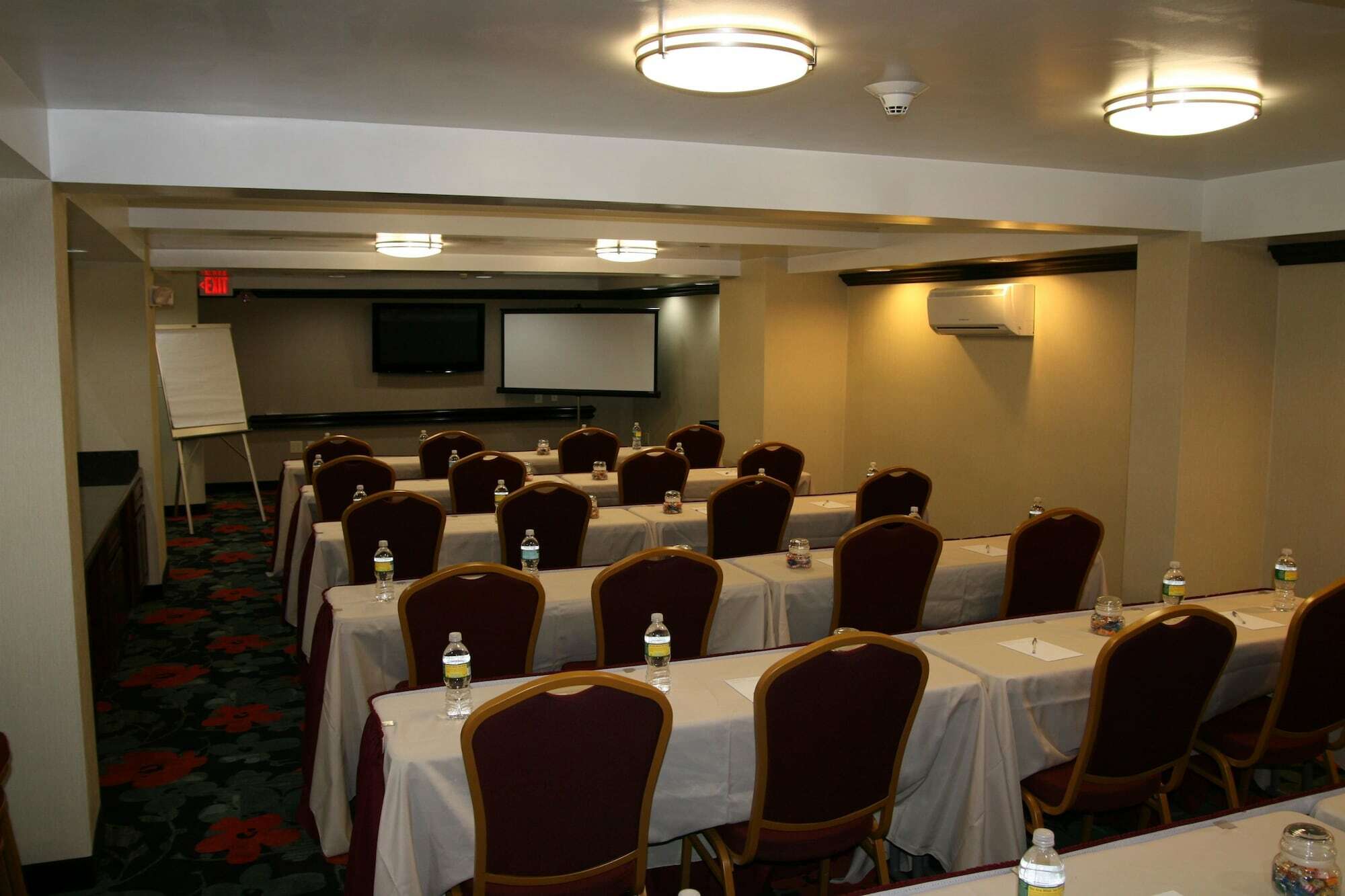 Hampton Inn Jericho - Westbury Servizi foto