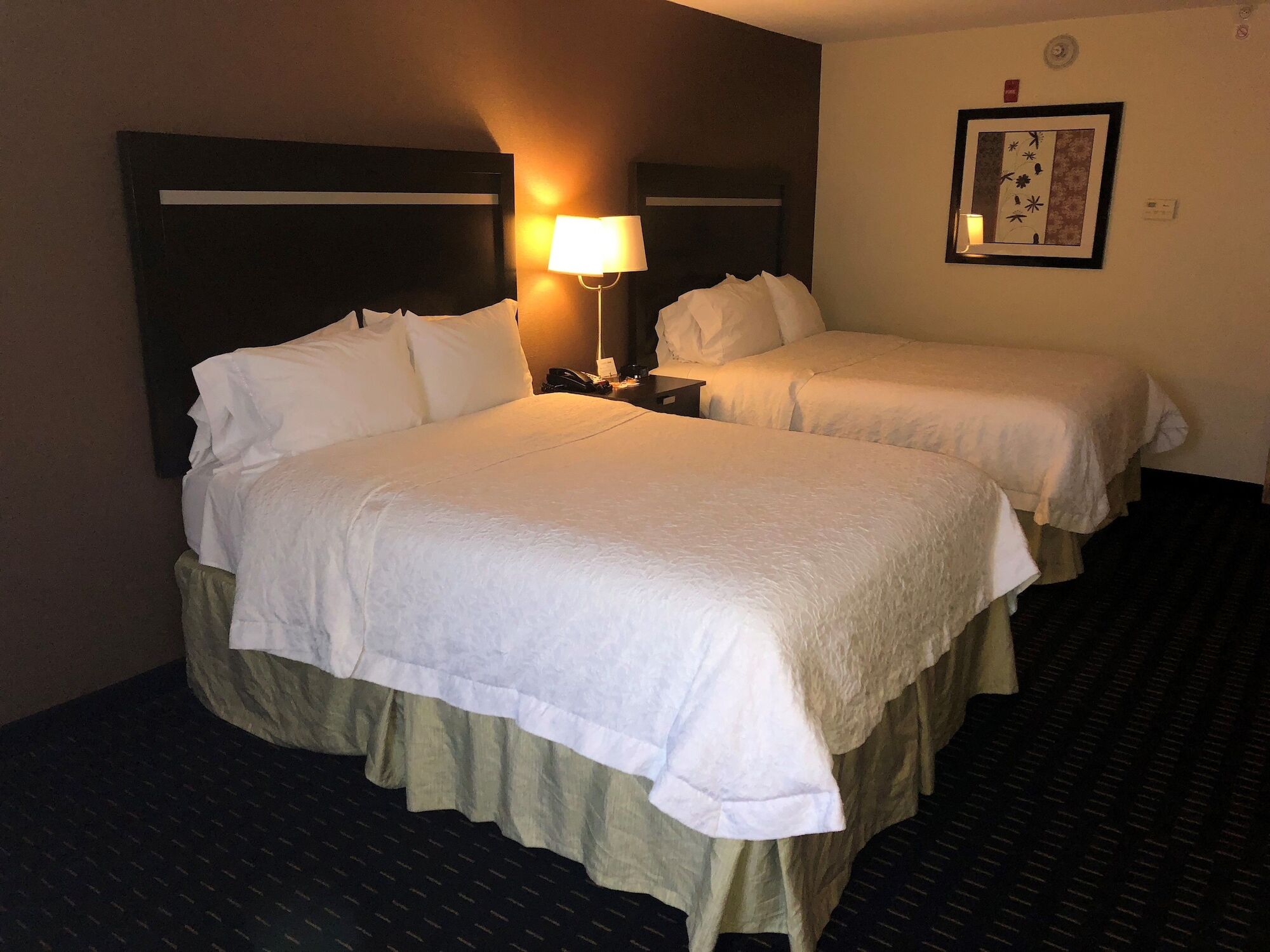 Hampton Inn Jericho - Westbury Esterno foto