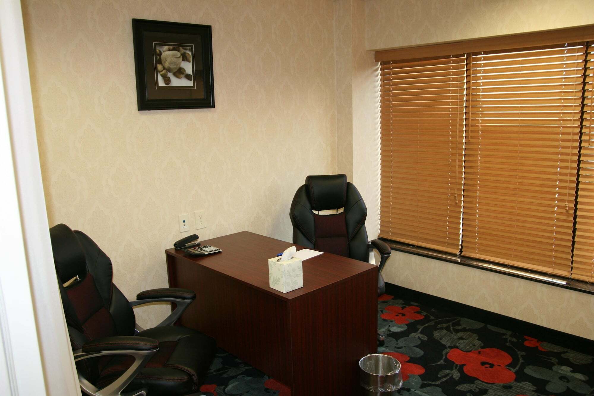 Hampton Inn Jericho - Westbury Servizi foto